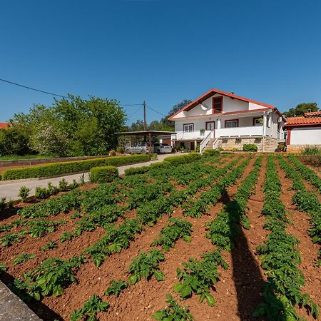 Floyd Apartment Bibinje Exterior photo